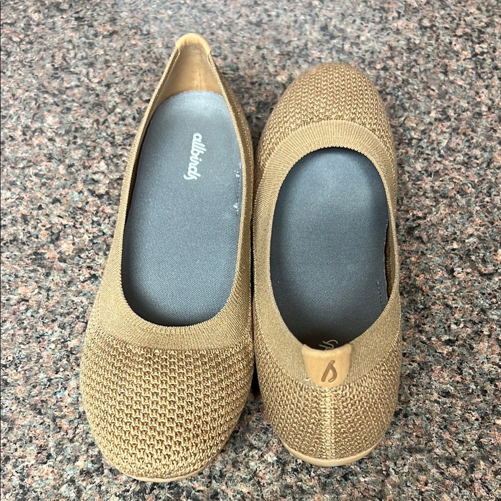Allbirds Tree Breezers